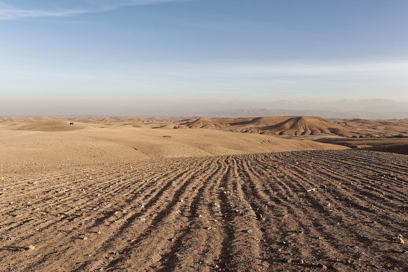 صحراء أكافاي