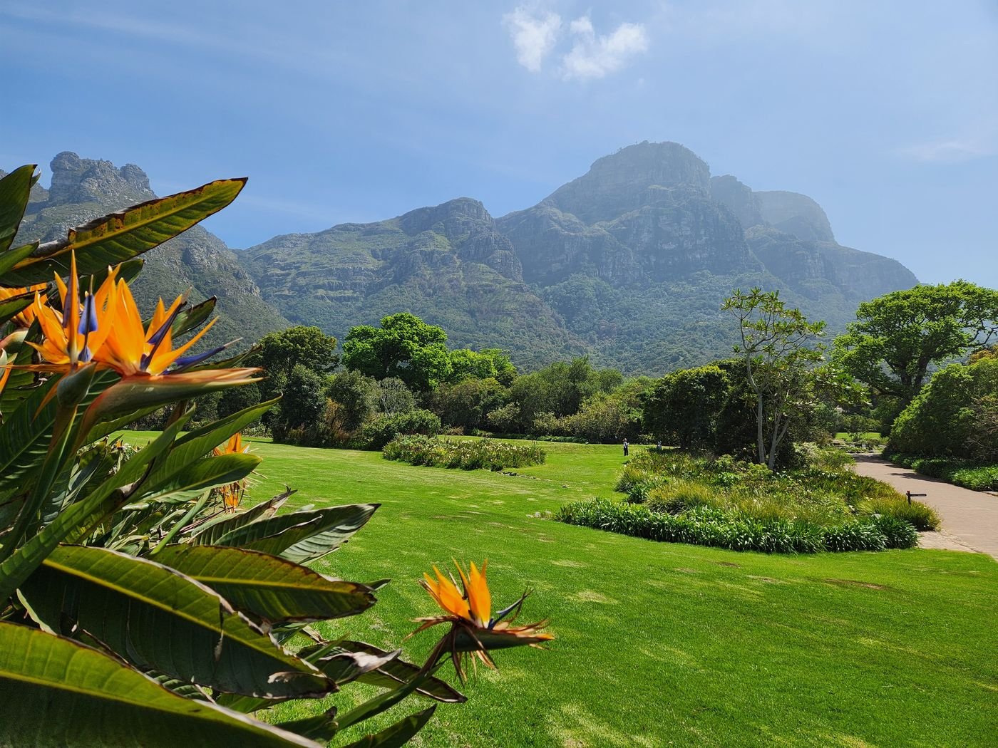 Kebun Raya Kirstenbosch