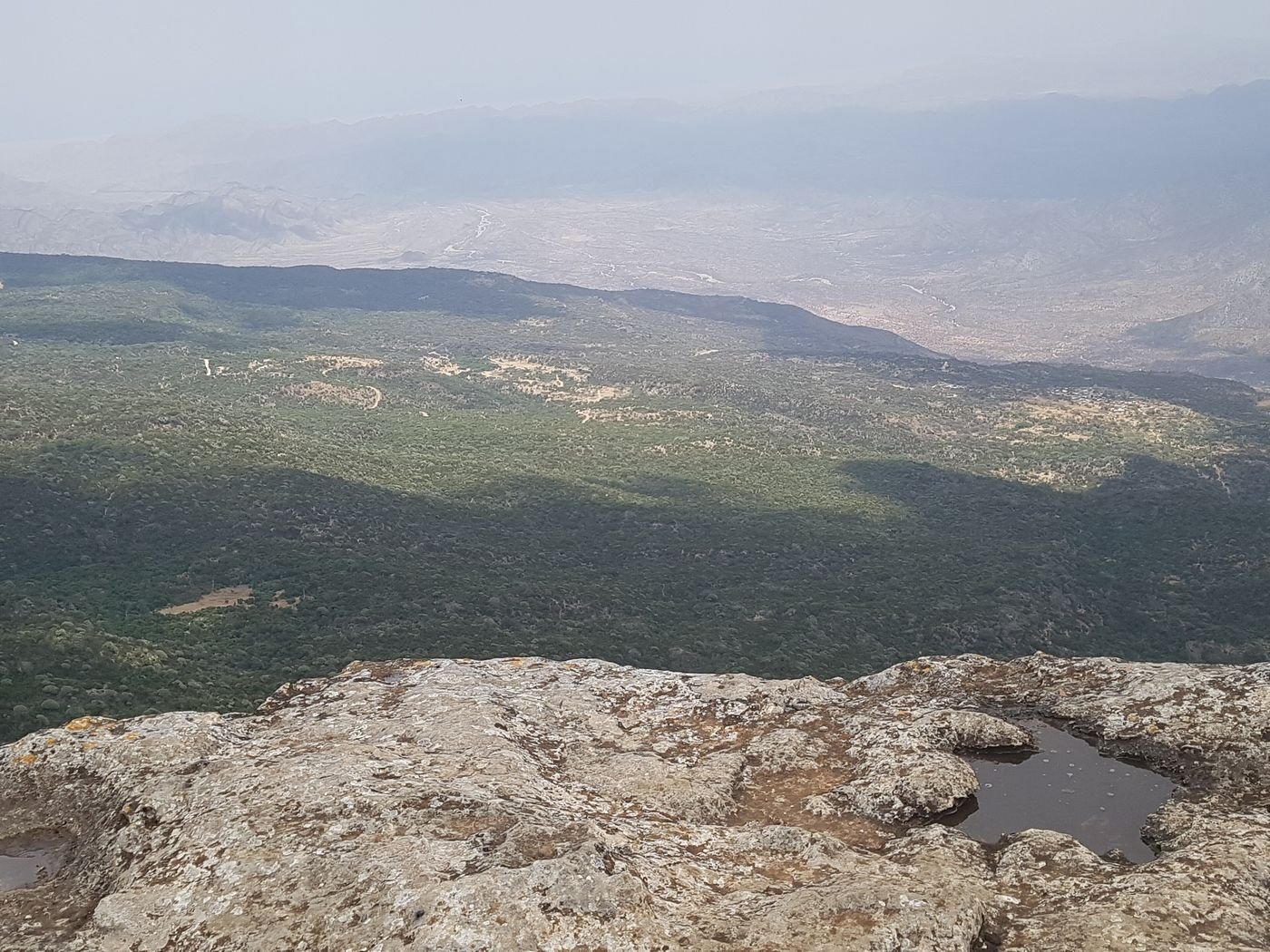 جبل دالو وغابته